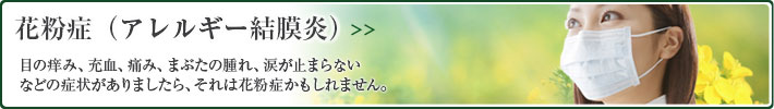 花粉症(アレルギー結膜炎)