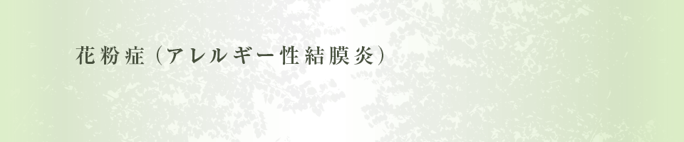 花粉症(アレルギー性結膜炎)