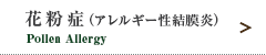 花粉症(アレルギー性結膜炎)