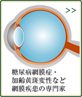 糖尿病網膜症・加齢黄斑変性など網膜疾患の専門家